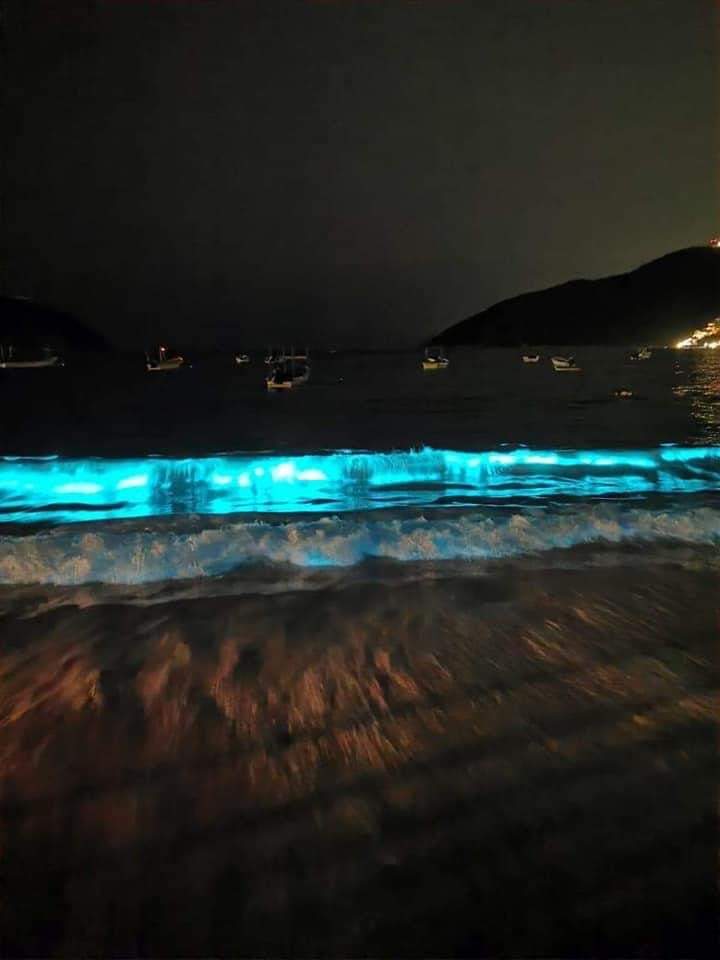 Mar Fluorescente: Fenômeno incrível volta a acontecer em praias de Acapulco