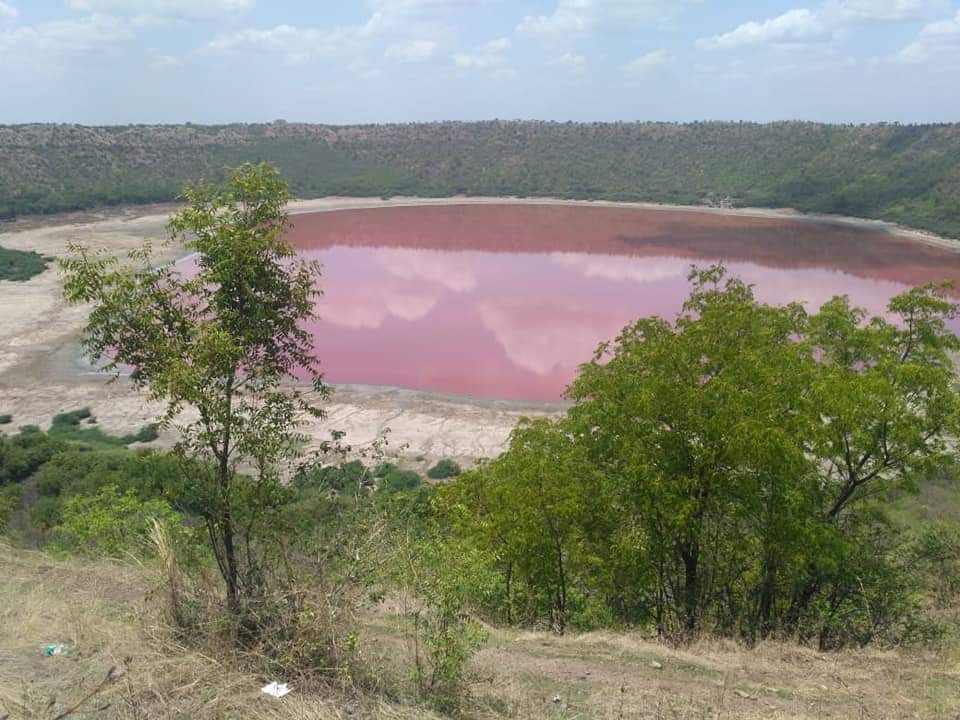Lake Lonar, na Índia, fica rosa