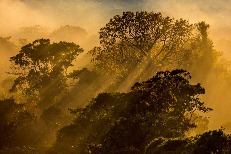 Boa ação! Em prol das famílias carentes, hotel na Amazônia vende fotos de natureza para arrecadar fundos