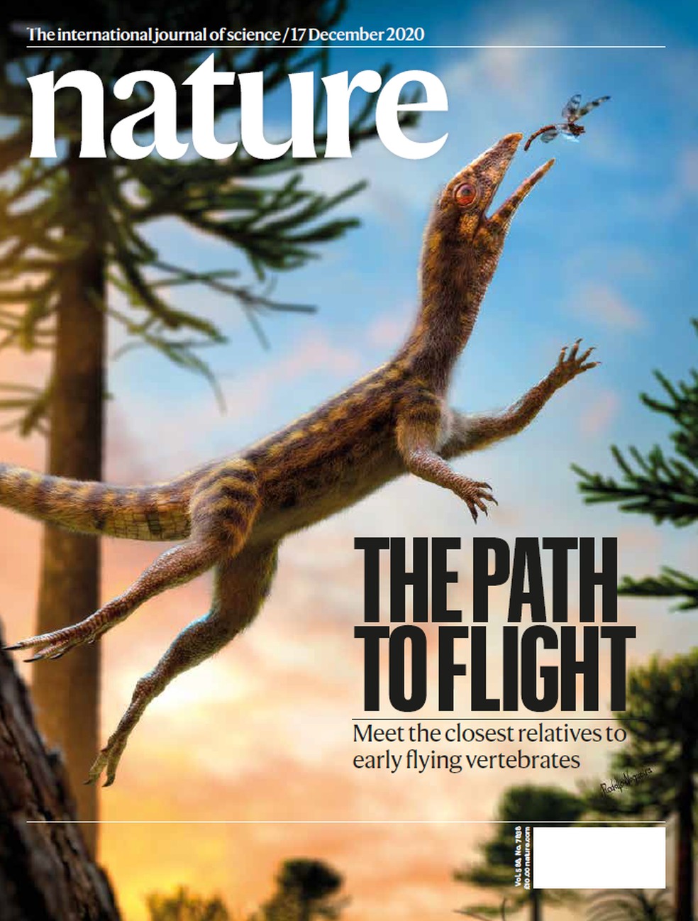 Animal pré-histórico encontrado no Brasil é capa da Revista Nature