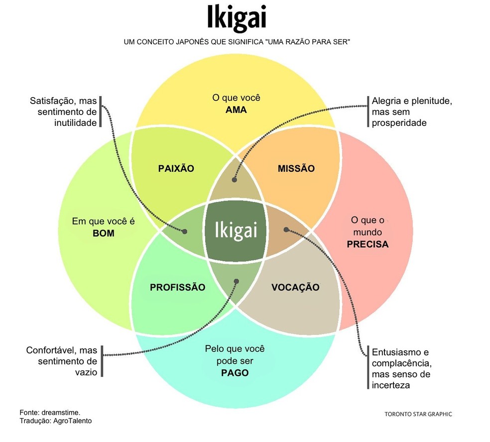 Entenda o conceito de Ikigai