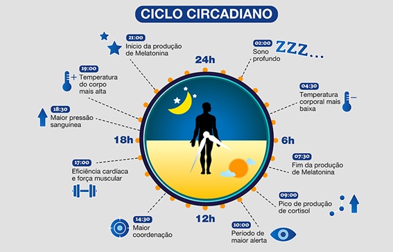 Entenda como funciona o ciclo circadiano