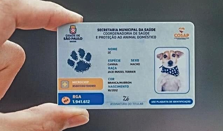 RG para pets! Cachorros poderão ter carteira de identidade digital em São Paulo