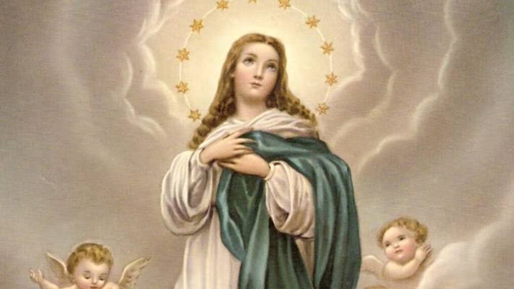 Dia 8 de dezembro: peça bênçãos para Nossa Senhora da Conceição