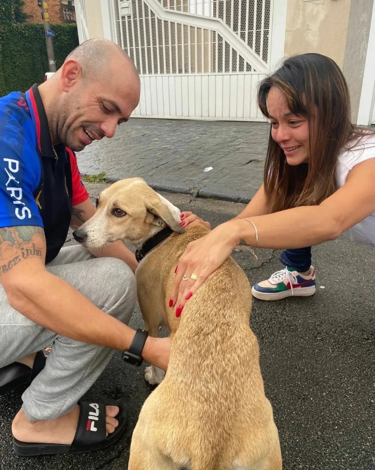 Família reencontra cadela perdida em aeroporto após 45 dias e momento emociona