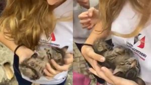 Menina salva filhote de gato em bueiro: "Naquele momento resolvi adotá-lo"