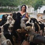 Voluntária acolhe mais de 400 animais abandonados em sítio de Brasília