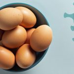 Ovo de galinha pode ajudar no tratamento da covid-19, apontam cientistas