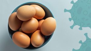 Ovo de galinha pode ajudar no tratamento da covid-19, apontam cientistas