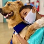 'Pet Terapia': Cachorro auxilia crianças em tratamento em hospital