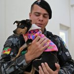 Militar salva cadela enterrada vida, adota animal e dá nome de 'Esperança'