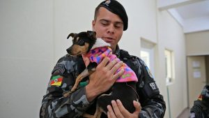 Militar salva cadela enterrada vida, adota animal e dá nome de 'Esperança'