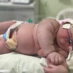 Já nasceu com 7,3 kg: maior bebê do Amazonas bate recorde no estado