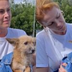 Ana Hickmann resgata cachorro abandonado em beira de estrada: "É um bebê"