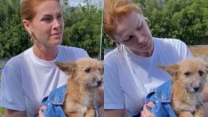 Ana Hickmann resgata cachorro abandonado em beira de estrada: "É um bebê"