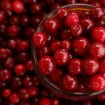 Cranberry: frutinha poderosa previne além de infecções urinárias