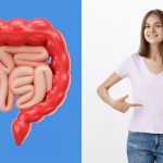 Enzimas digestivas: as proteínas aliadas à boa digestão