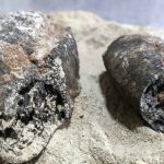 Na Bahia, pães "mumificados" da 2ª Guerra Mundial são encontrados em escavação arqueológica