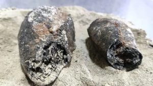 Na Bahia, pães "mumificados" da 2ª Guerra Mundial são encontrados em escavação arqueológica