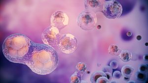 Câncer e compostos bioativos: conhecendo os nutracêuticos quimioprotetores
