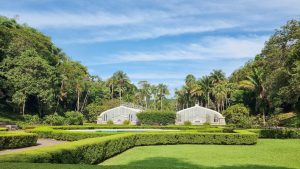 Jardim Botânico de São Paulo terá exposição de plantas ameaçadas de extinção no aniversário da cidade