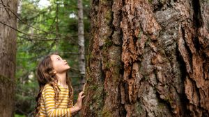 Síndrome da falta de natureza