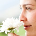 Plantas perfumadas à noite