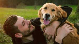 Cães no trabalho