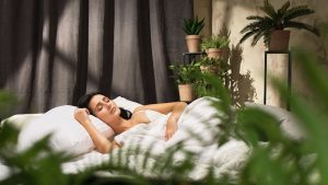 Dormir com plantas no quarto