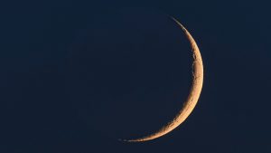 Lua nova