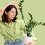 Nomes para plantas