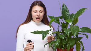 Nomes para plantas