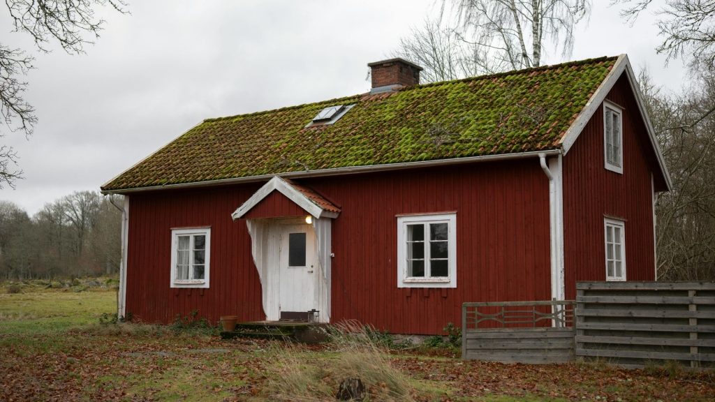 Telhado verde